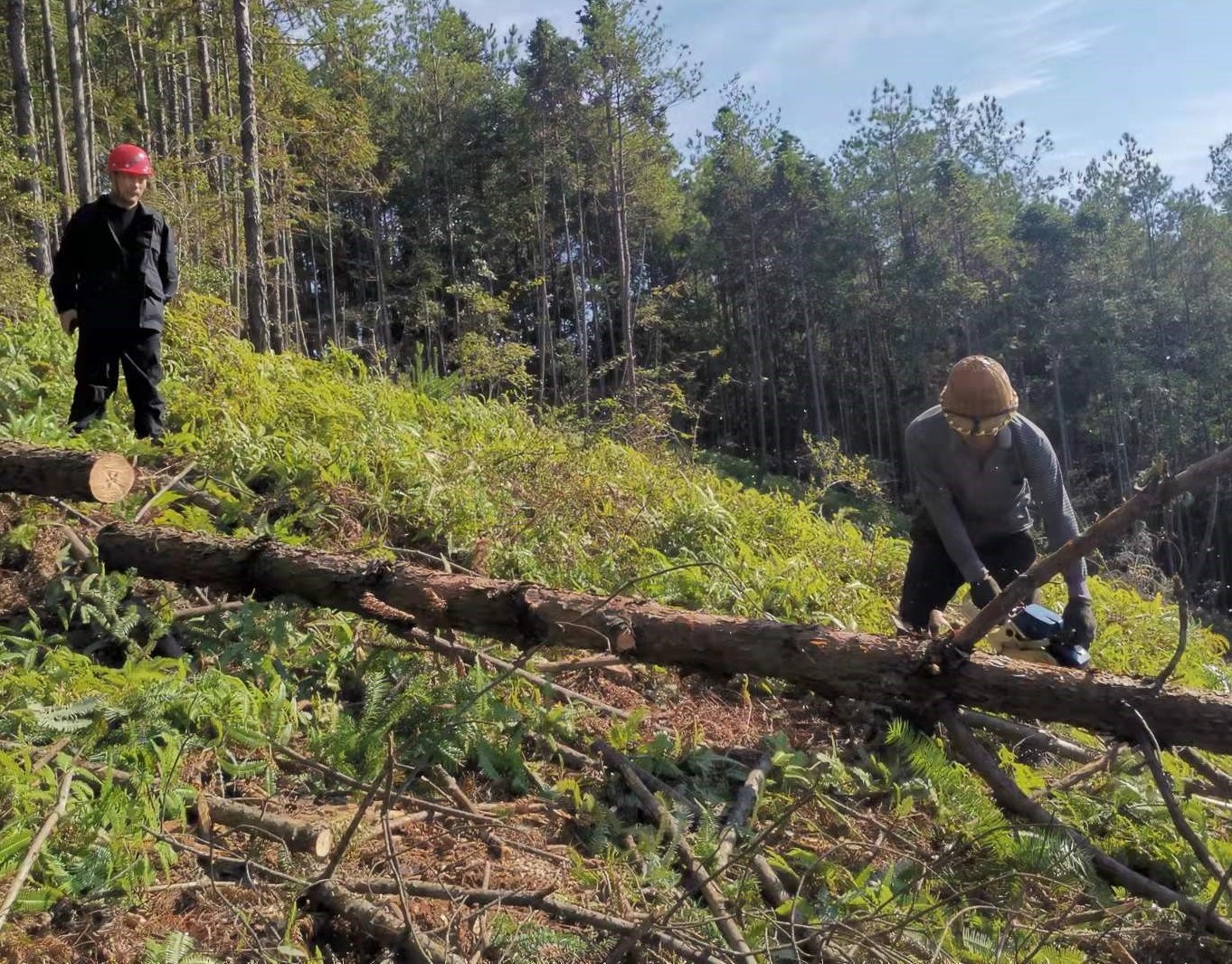 筑牢安全防線，守護(hù)一方平安 ——將溪分公司安全生產(chǎn)工作紀(jì)實