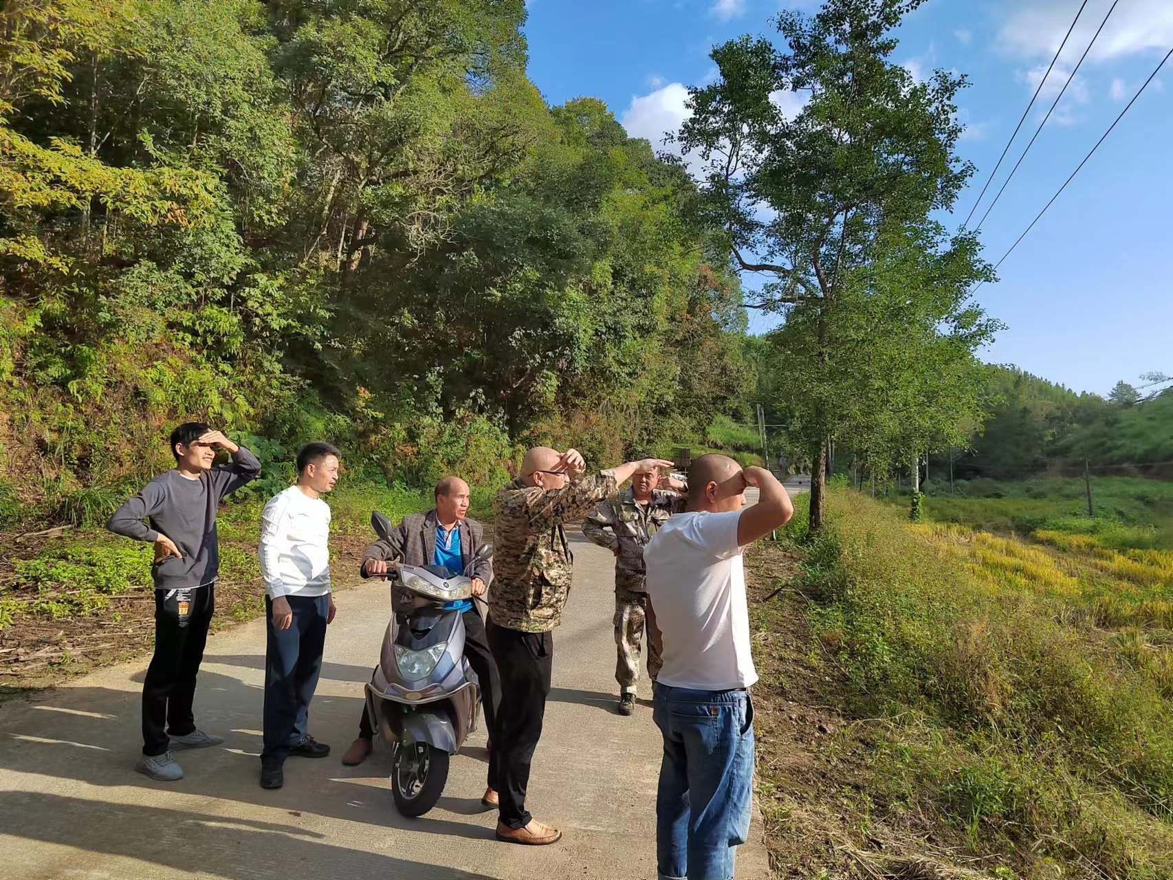 【主題教育·我在崗位做貢獻】 推進村企合作造林，助力鄉村振興