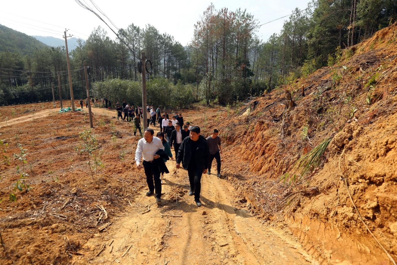 不負春光好，搶播萬畝林 ——將樂縣村企合作造林工作現(xiàn)場會在福建金森召開