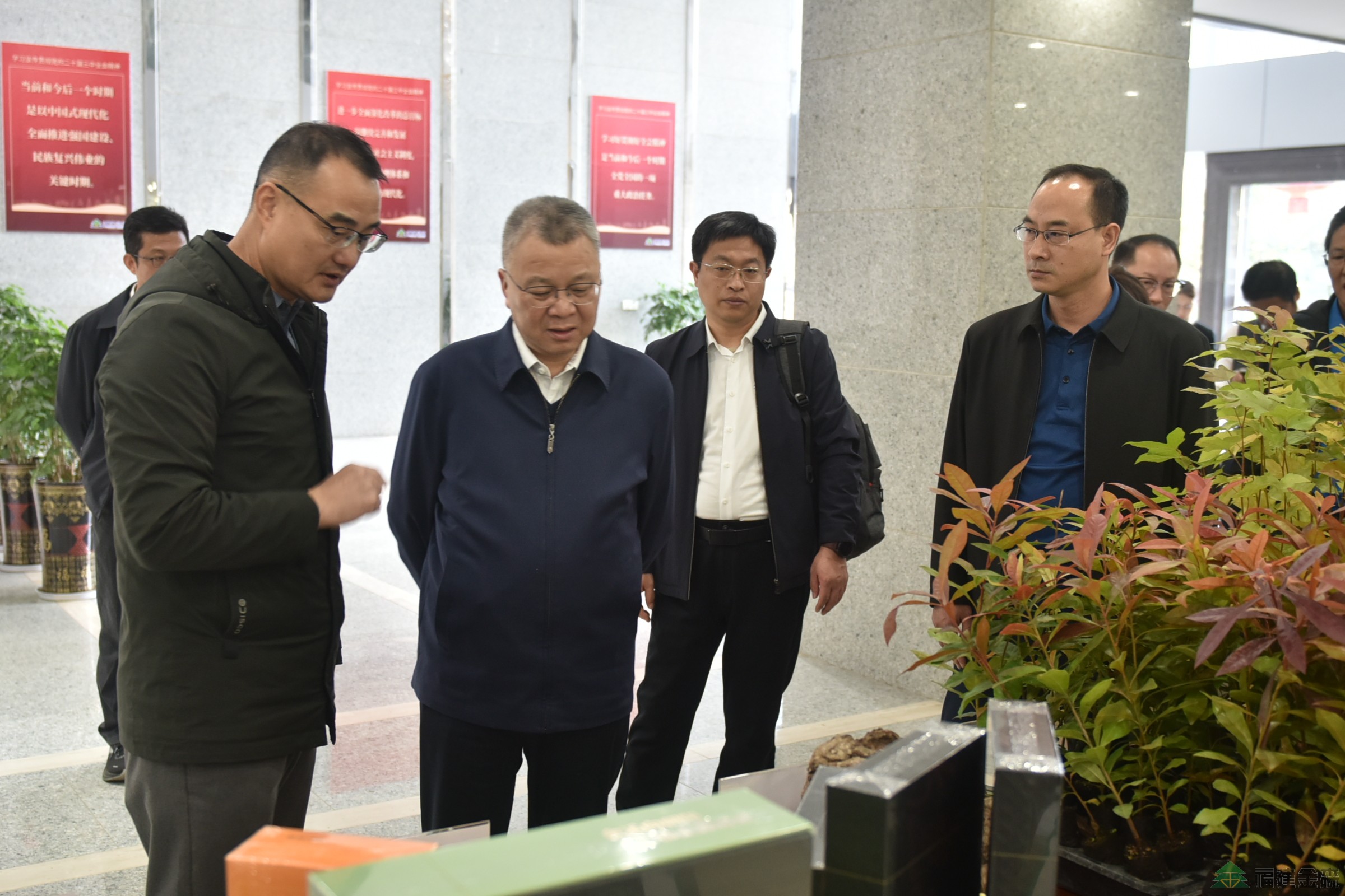 南京林業大學至福建金森調研 南京林業大學至福建金森調研